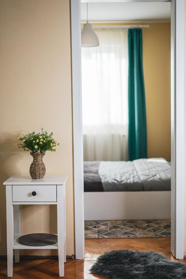 Central And Modern Apartment With Free Parking Temešvár Exteriér fotografie