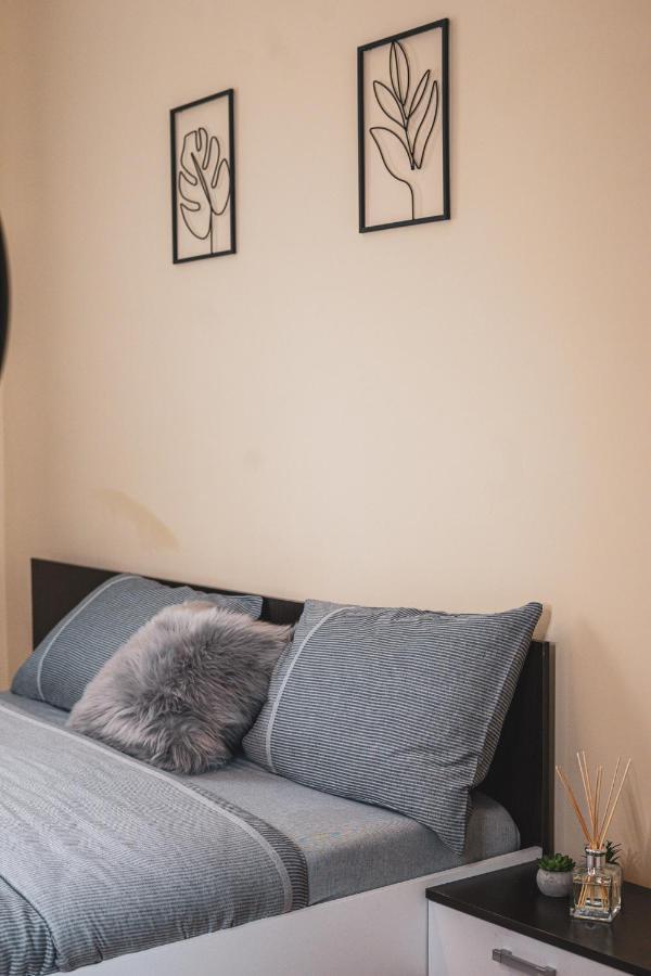 Central And Modern Apartment With Free Parking Temešvár Exteriér fotografie