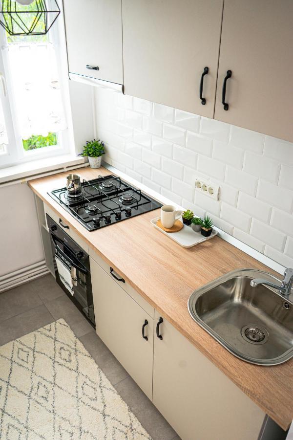 Central And Modern Apartment With Free Parking Temešvár Exteriér fotografie