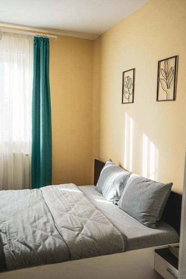 Central And Modern Apartment With Free Parking Temešvár Exteriér fotografie